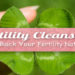 Fertilitea Detox, how to do a fertility cleanse