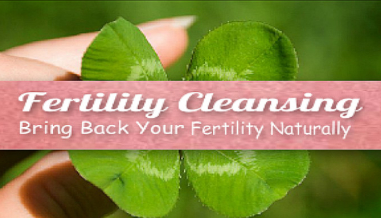 Fertilitea Detox, how to do a fertility cleanse