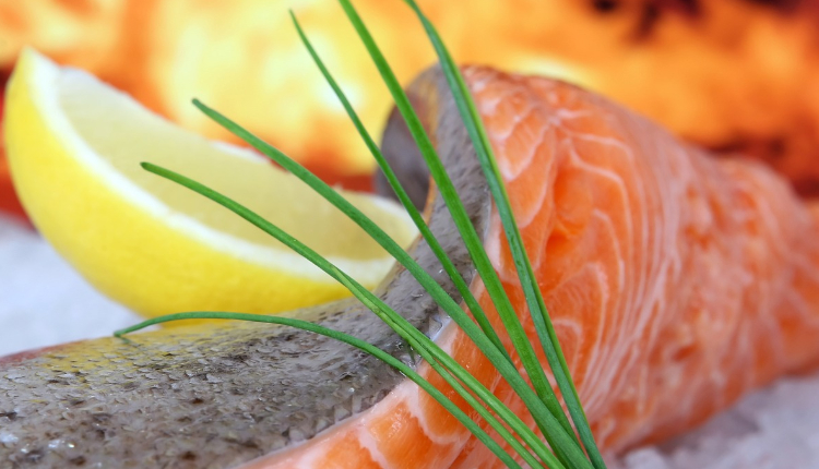 salmon
