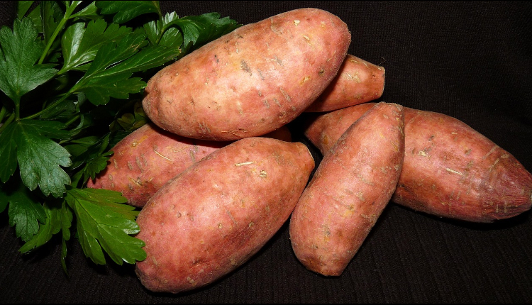 10 Best Foods for Pregnancy